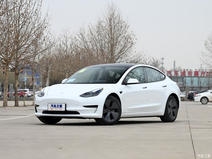 Tesla China Model 3 2022 Rear Wheel Drive Edition